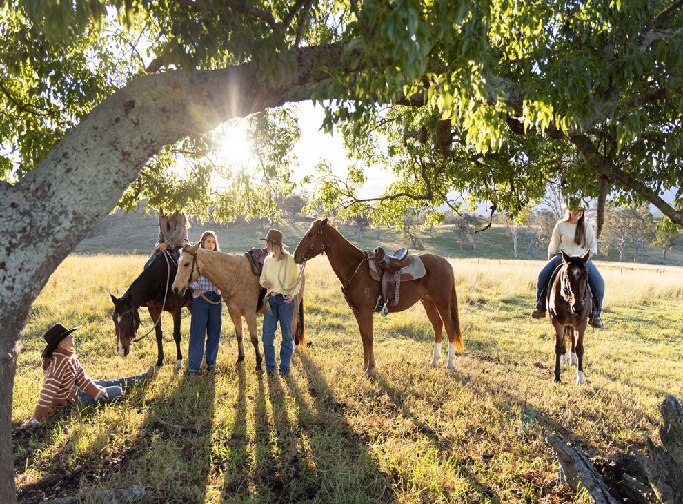 Brand photography for women in business, group of participants with horses beneath tree in golden light, Reins to Resilience Candelo NSW
