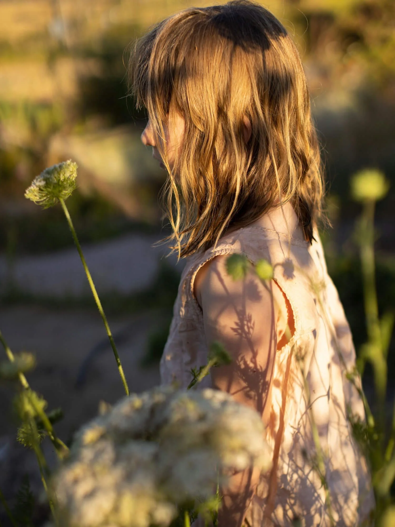 A young girl walking through wild flowers in golden morning light