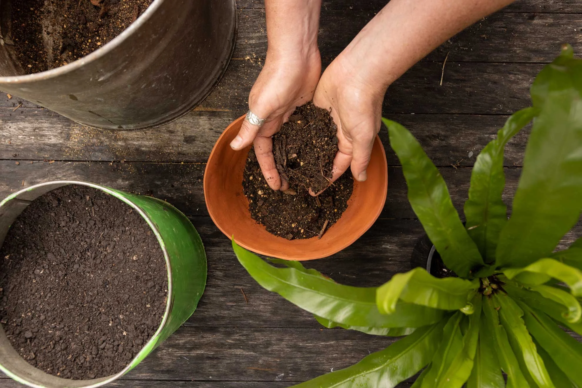Photo of Rosie showing how to take care of indoor plants for 'The Compost Coach Book' photographed by Honey Atkinson