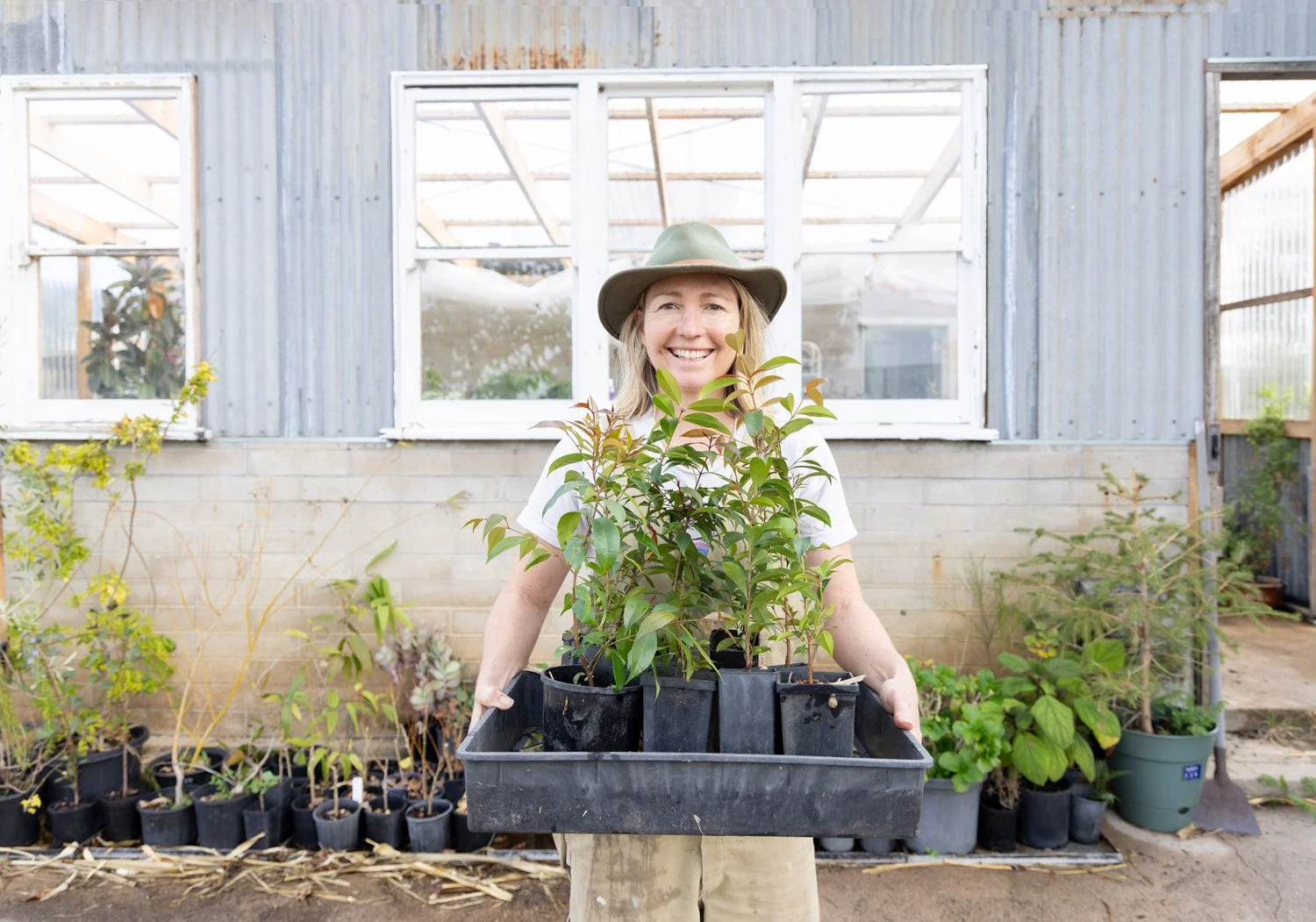 Honey Atkinson with a tray of Lilly Pilly trees, ready to plant out as windbreak on rural property, Bega Valley NSW