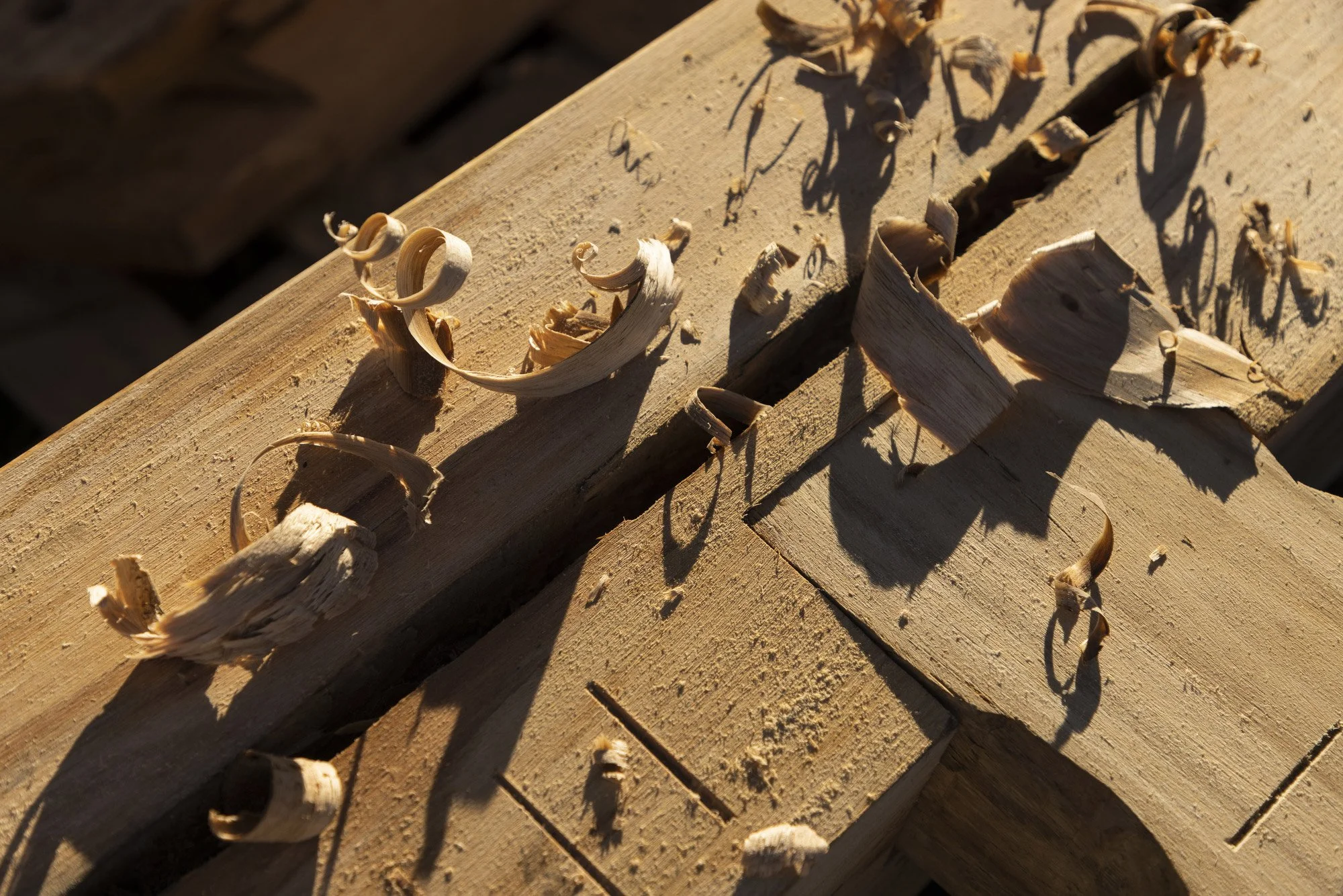 Brand photography for Heartwood Timber in Wandella, Bega Valley photographed by Honey Atkinson