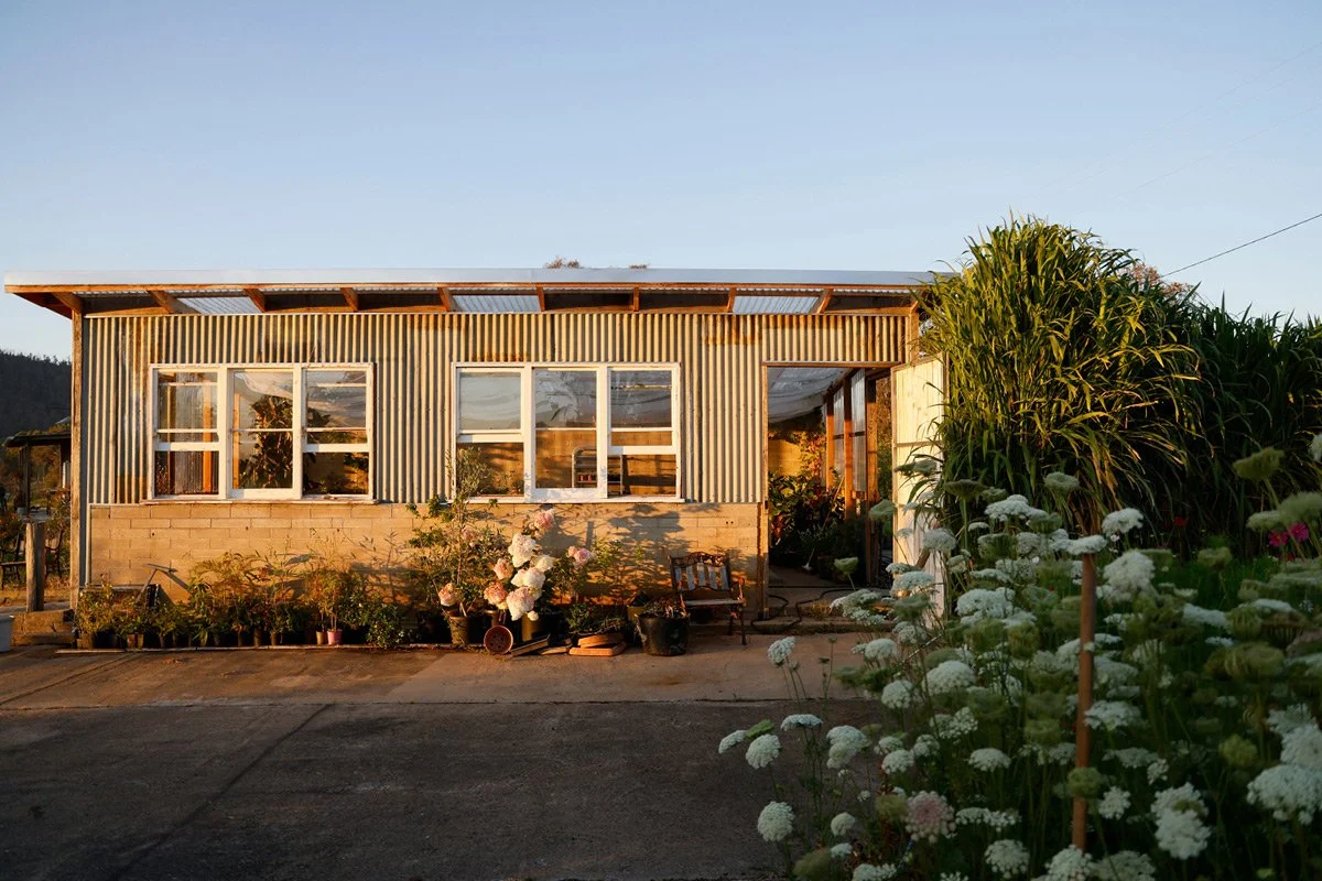 photographer's honey atkinson's greenhouse during summer surrounded by flowers, photographed as a quiet moment of mindfulness in everyday life.