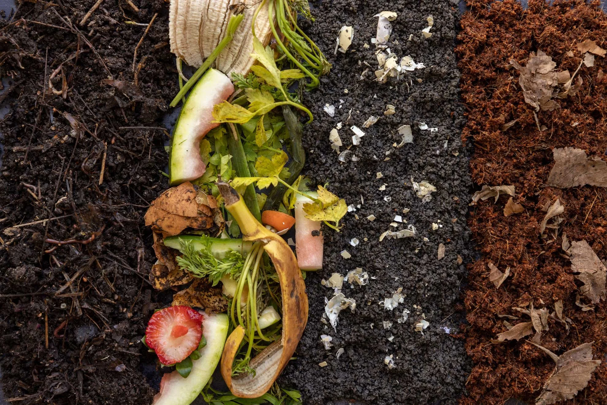 Photo of the compost ingredients in compost bin from 'Compost Coach Book' photographed by Honey Atkinson