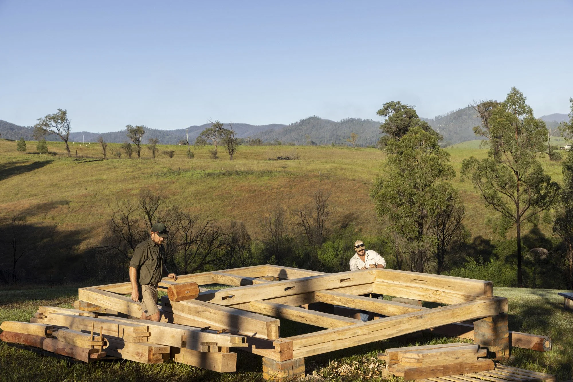 Brand photography for Heartwood Timber in Wandella, Bega Valley photographed by Honey Atkinson