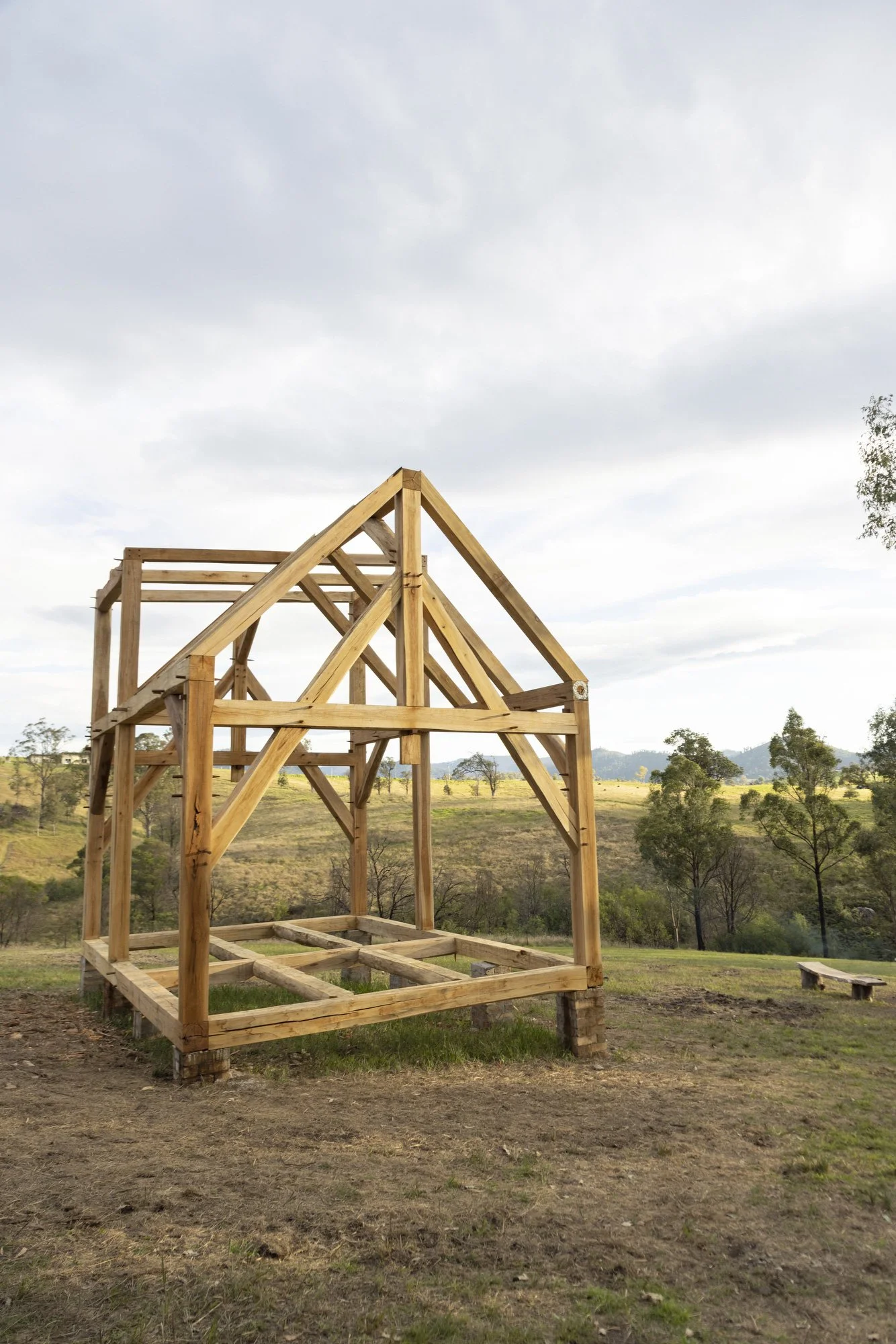 Brand photography for Heartwood Timber in Wandella, Bega Valley photographed by Honey Atkinson
