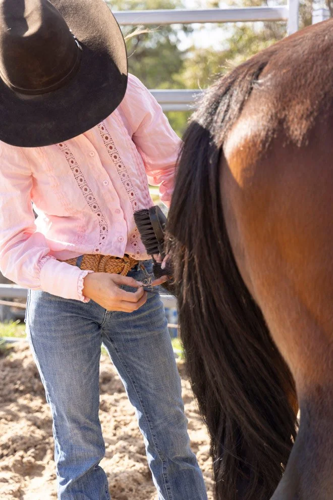 Brand photography Bega Valley, Sophie of Reins to Resilience brushing horse during morning preparation, Candelo NSW