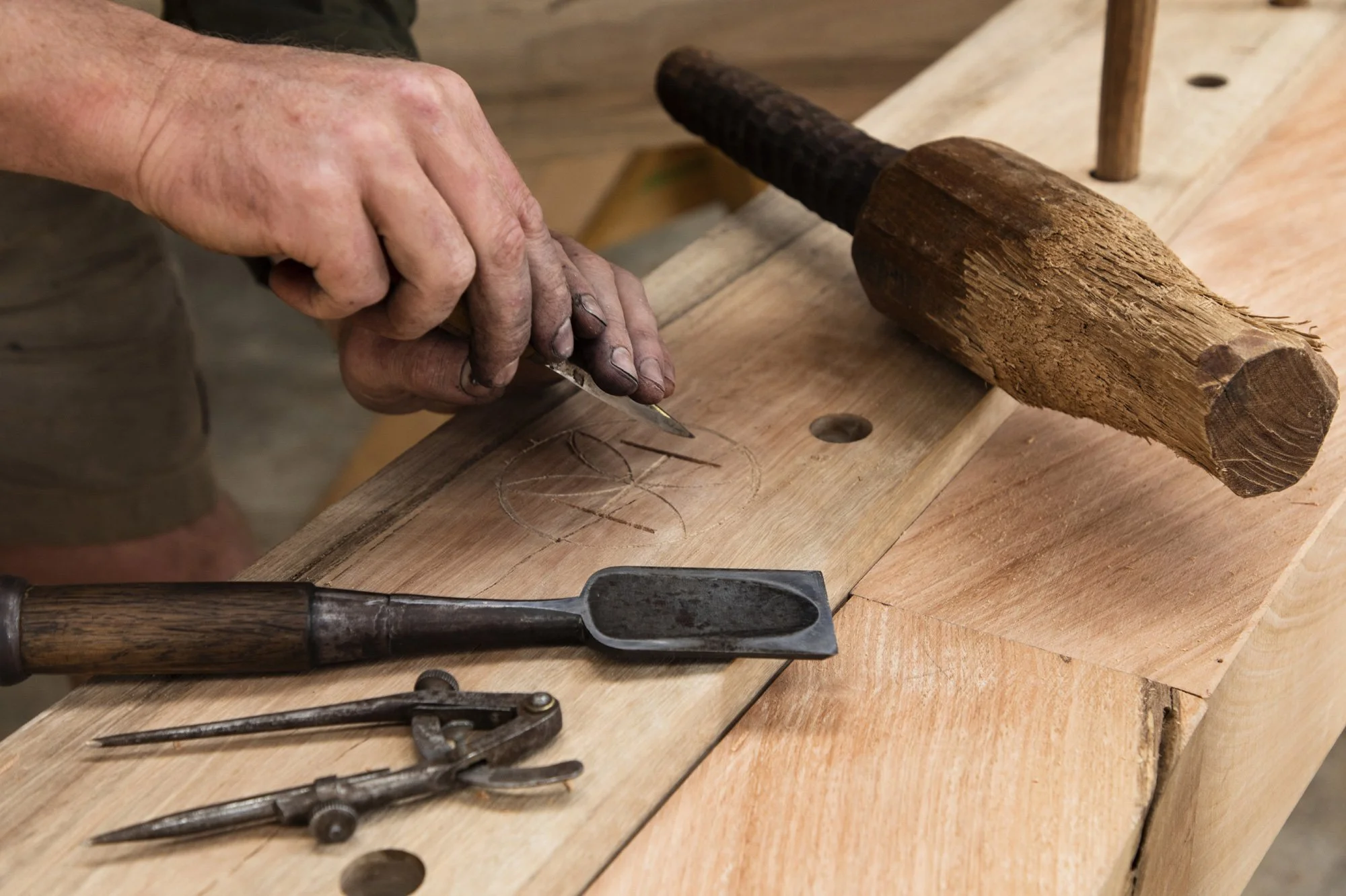 Brand photography for Heartwood Timber in Wandella, Bega Valley photographed by Honey Atkinson