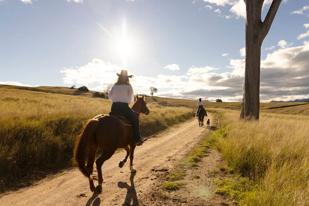 Brand photography Bega Valley, Sophie and Gen of Reins to Resilience riding horses along dirt road in golden afternoon light, Candelo NSW