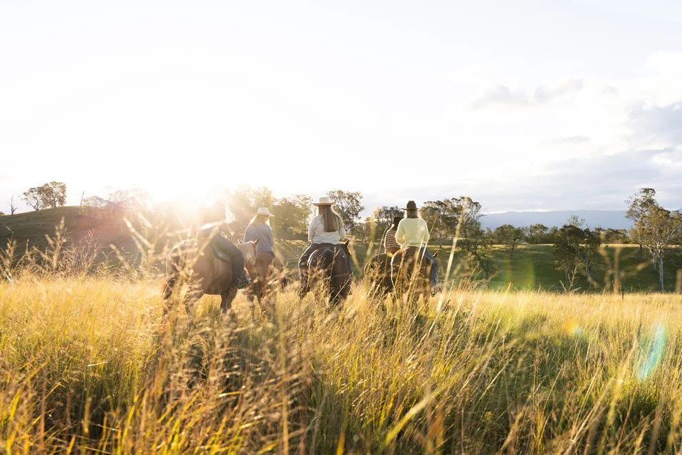 Brand photography and videography, riders on horseback through golden grasslands at sunset, Reins to Resilience Bega Valley NSW