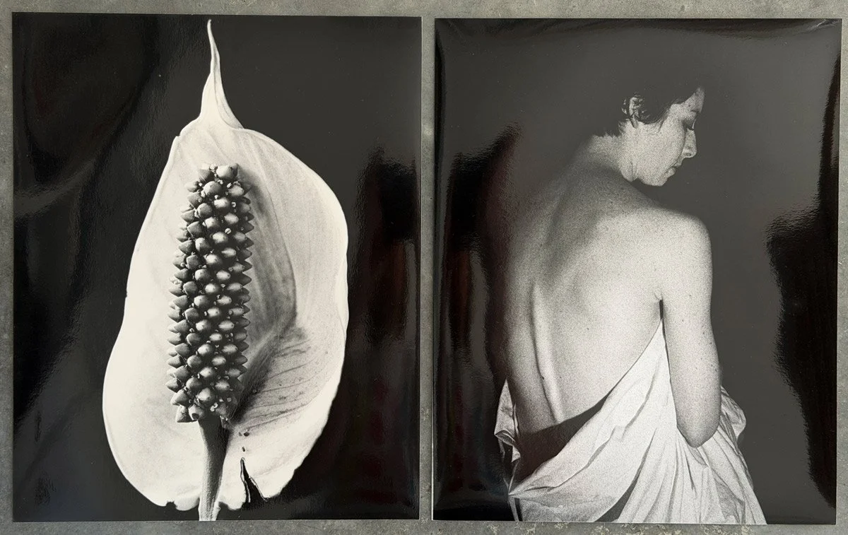 Two handprinted black and white prints from the darkroom captured by photographer Honey Atkinson whilst at JCU uni in Townsville. - showing the female form and a indoor lily flower.