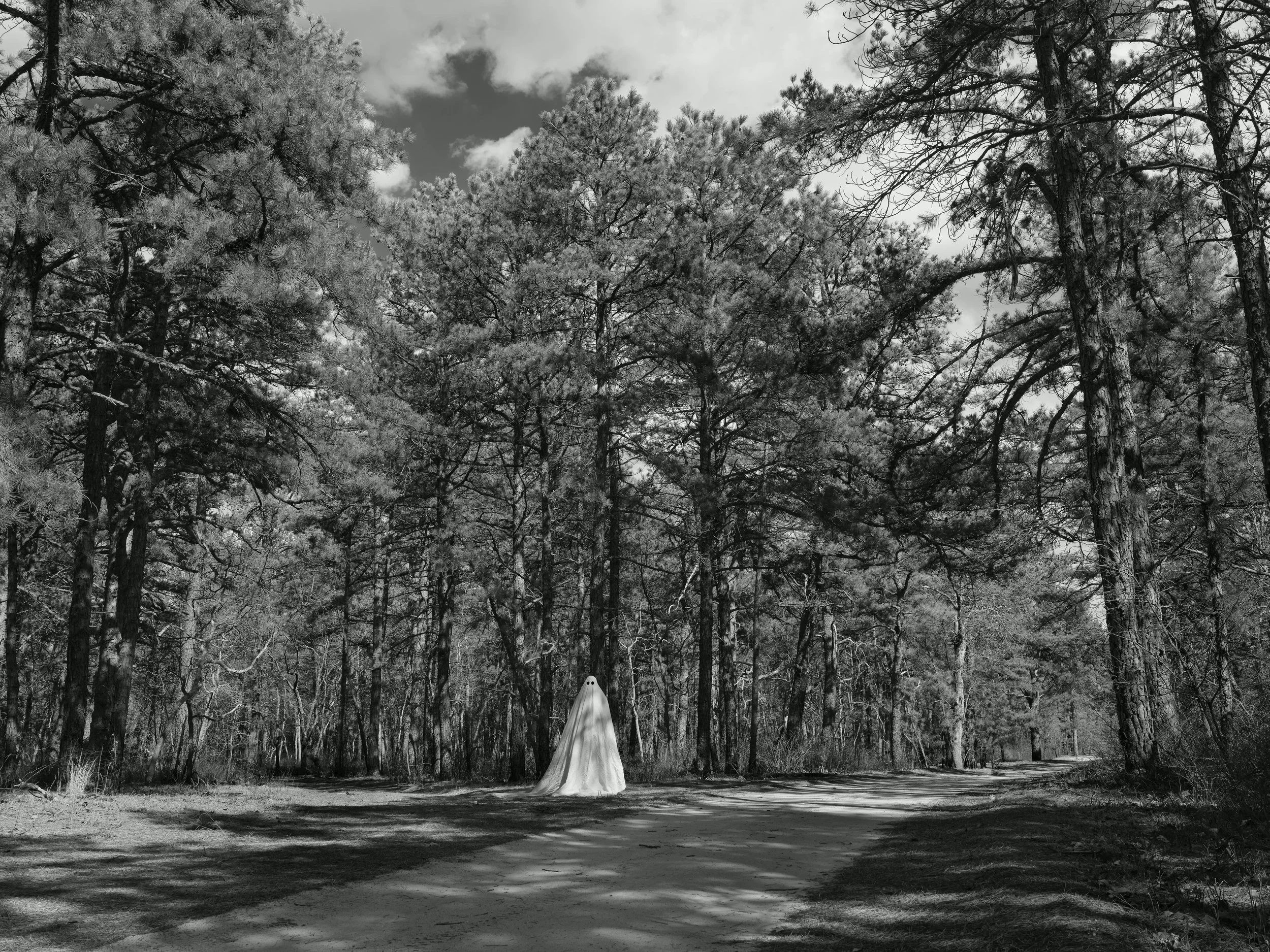 "Ghost" of Whitesbog, NJ