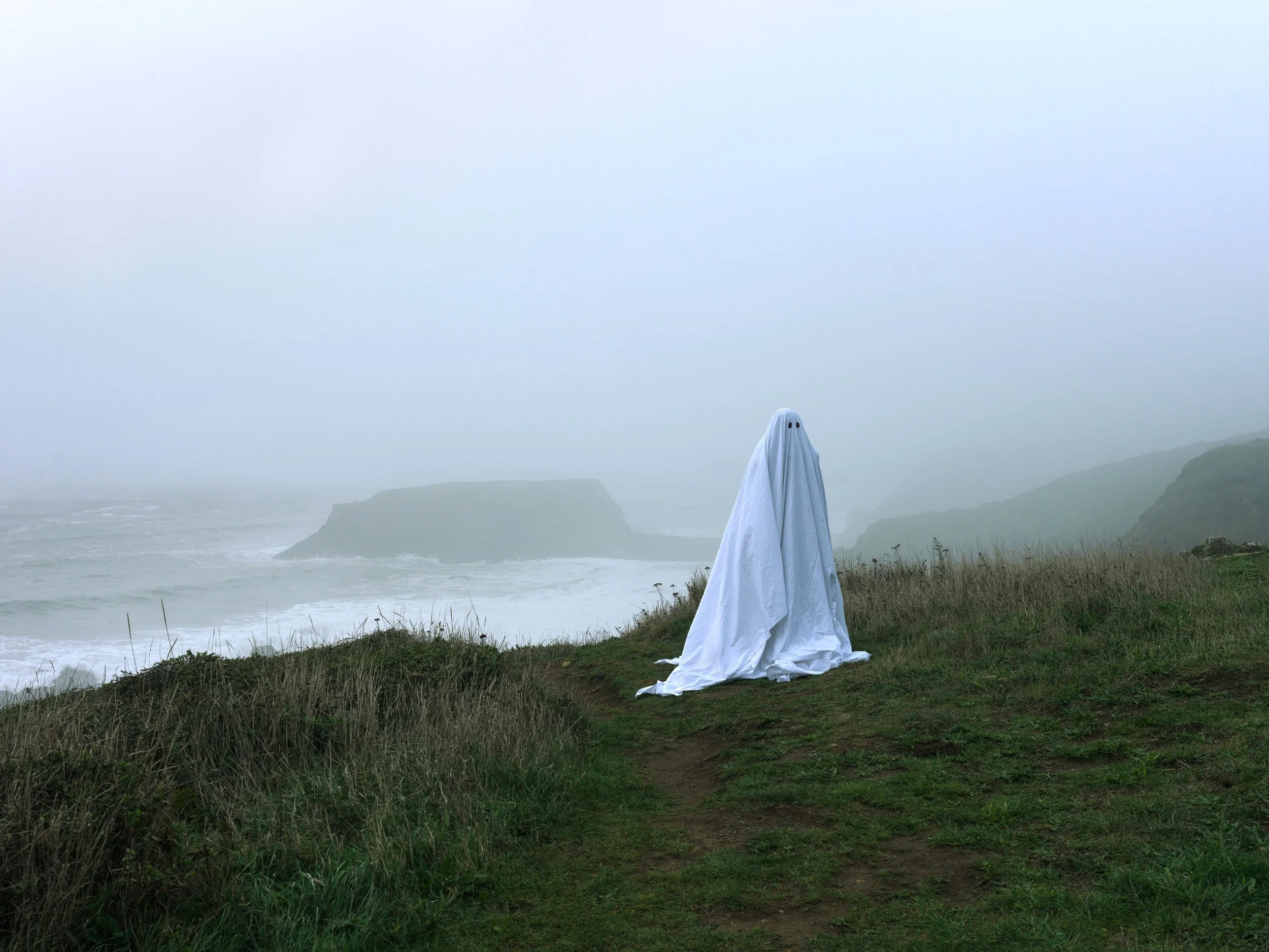 _Ghost_ of the Bodega Bay, Sonoma Coast State Park, CA.jpg