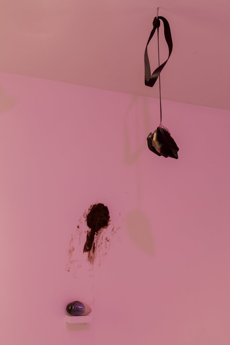 What turns a tadpole into a killer?