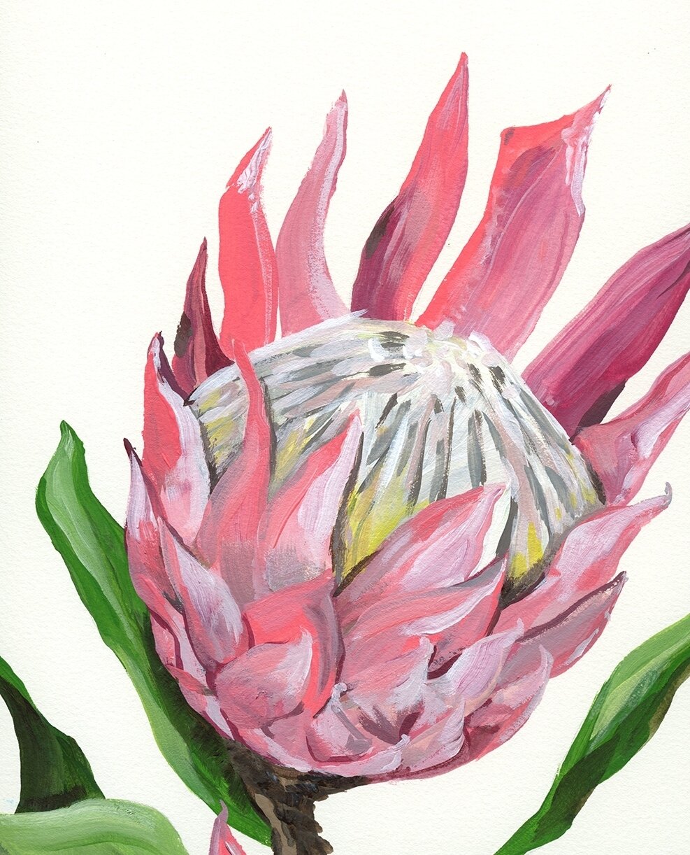 As a kid I avoided pink.  There were too many connotations associated with it (I was an 80's kid after all) and I wanted to be the girl that was sporty, active as well as doing anything I wanted to aim for.⁠
⁠
This King Protea however needed all the 