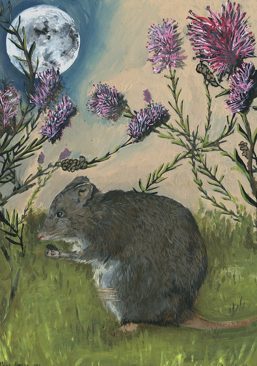 10 Gilberts Potoroo - We Can't Go Back WEB.jpg