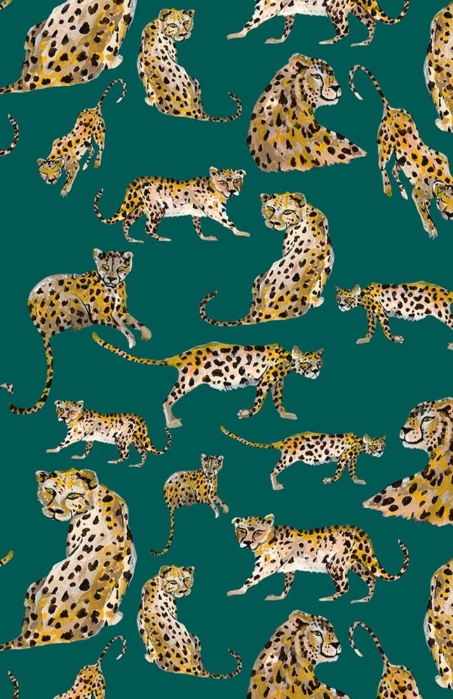 100+] Animal Print Iphone Wallpapers