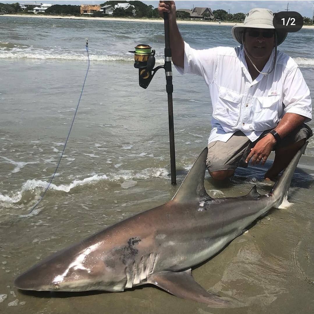 #bloodlinetackle #sharkleaders #sharkfishing #saltwaterfıshing #surffishing #lbsf #landbasedsharkfishing #sharkrigs