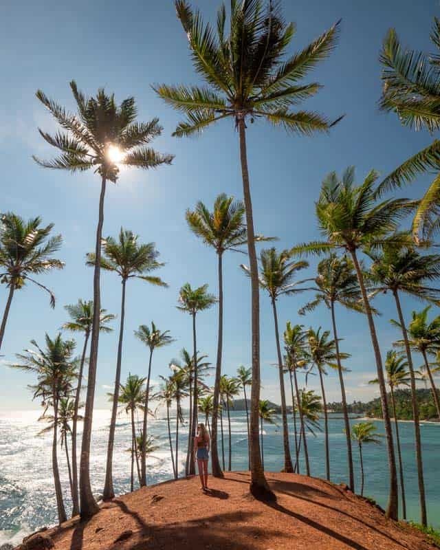 MIRISSA BEACH SRI LANKA - The Complete Guide.jpg