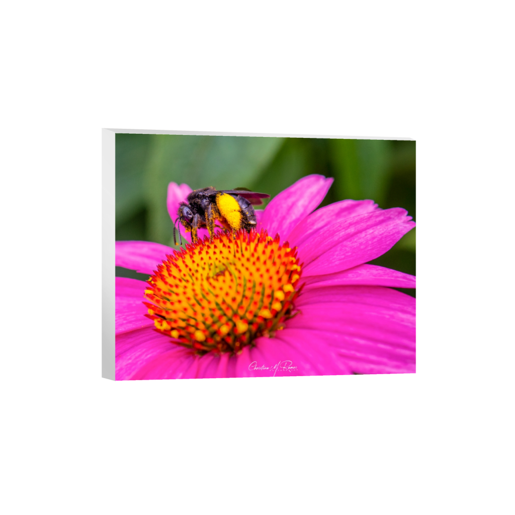 canvas_rectangle4_5_313_0_3138_2511_0_false_ffffff_0_0.png