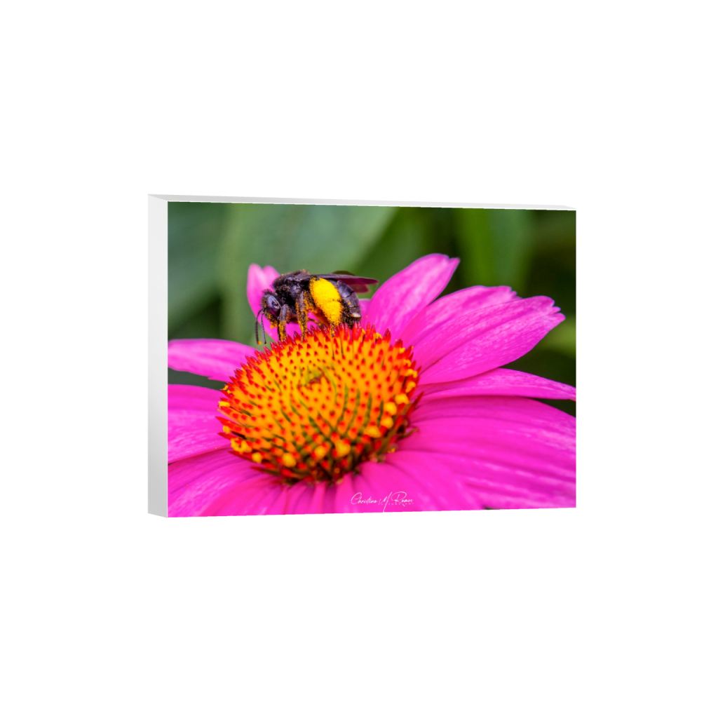 canvas_rectangle3_4_209_0_3348_2511_0_false_ffffff_0_0.png