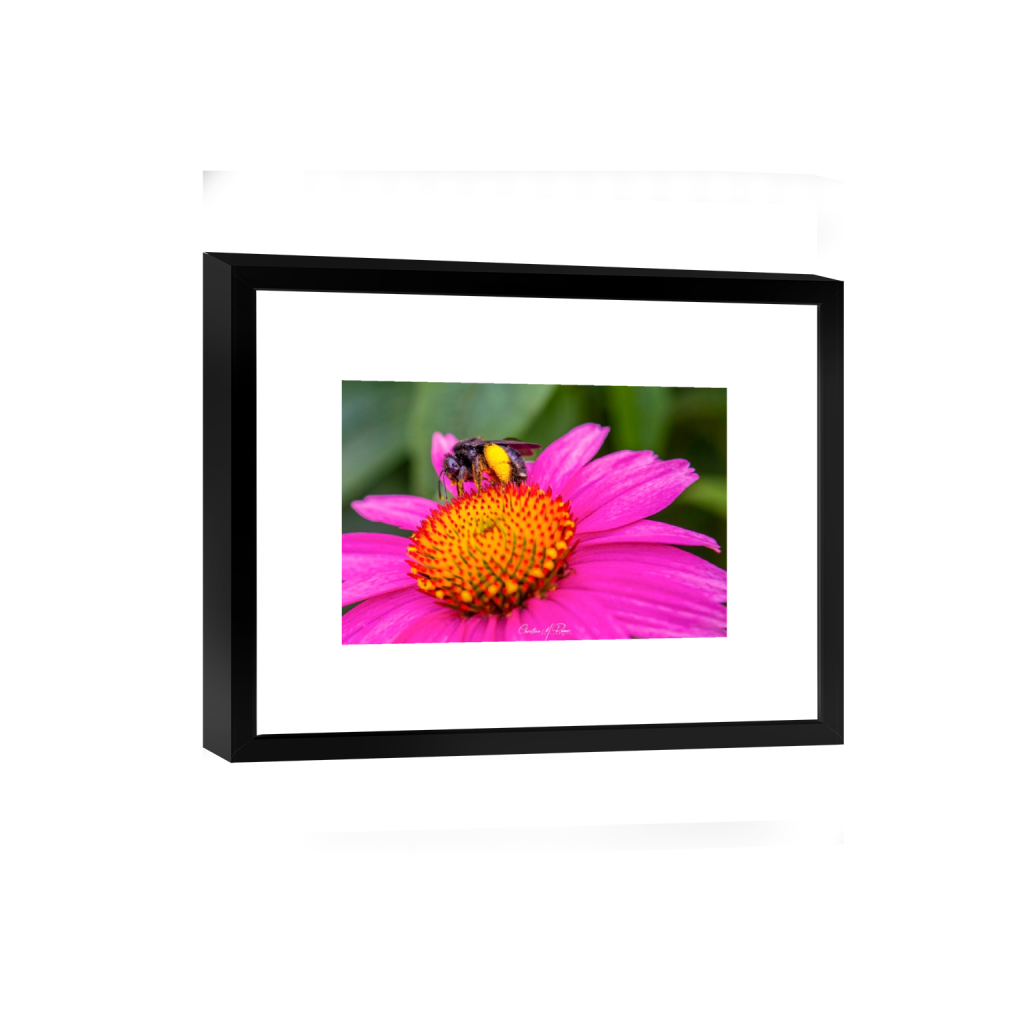 smartframe_rectangle2_3_0_12_3766_2510_0_false_ffffff_0_0.png