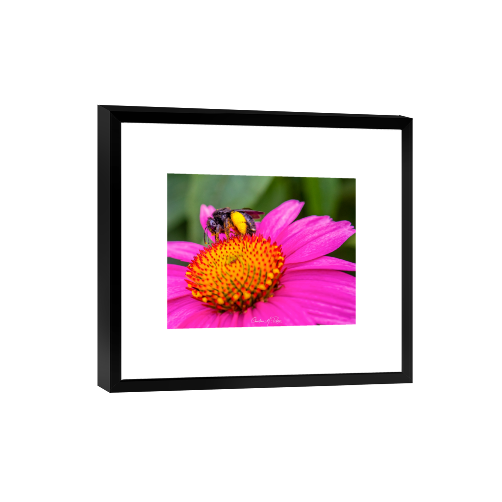 smartframe_rectangle4_5_313_0_3138_2511_0_false_ffffff_0_0.png