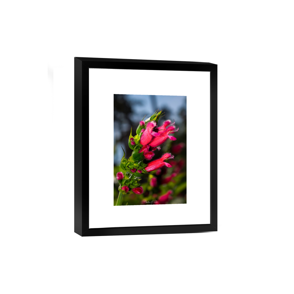 smartframe_rectangle2_3_8_0_3570_5355_0_false_ffffff_0_0.png
