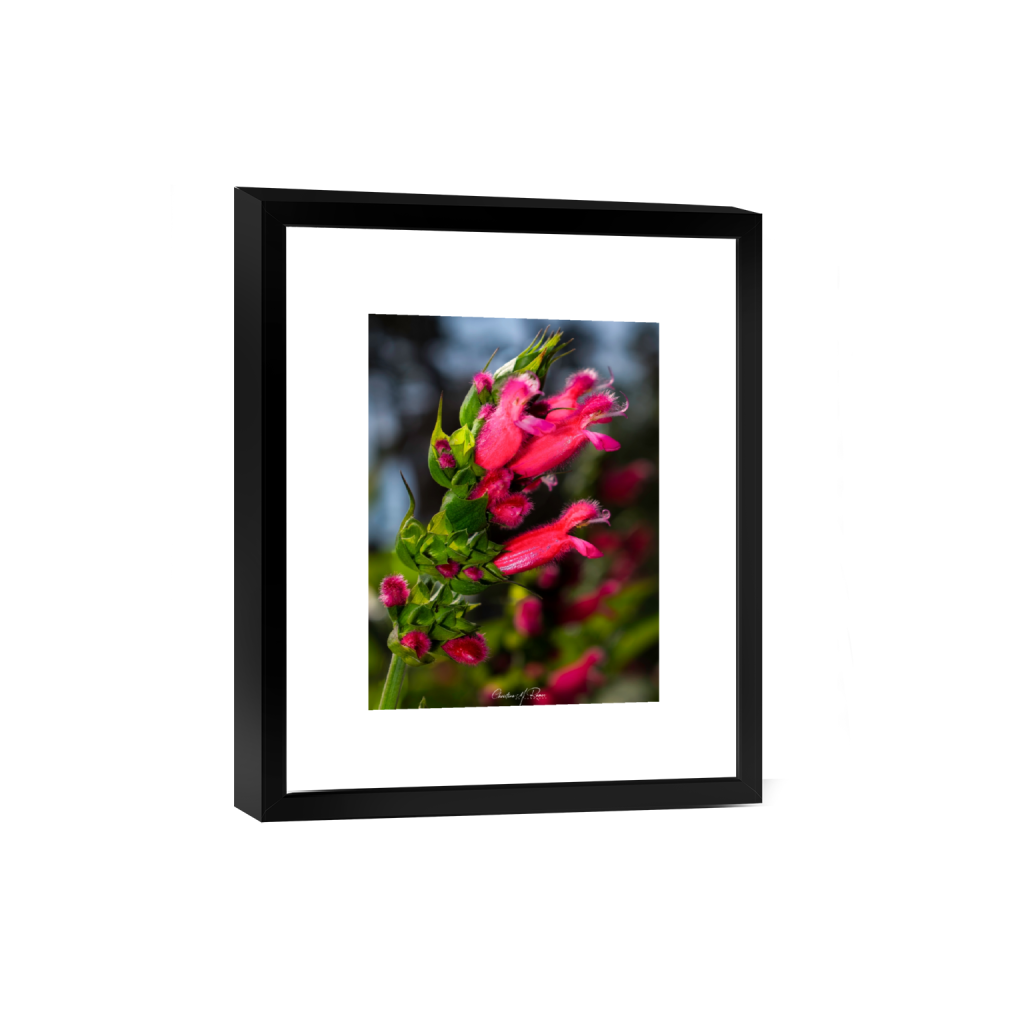 smartframe_rectangle3_4_0_595_3570_4760_0_false_ffffff_0_0.png