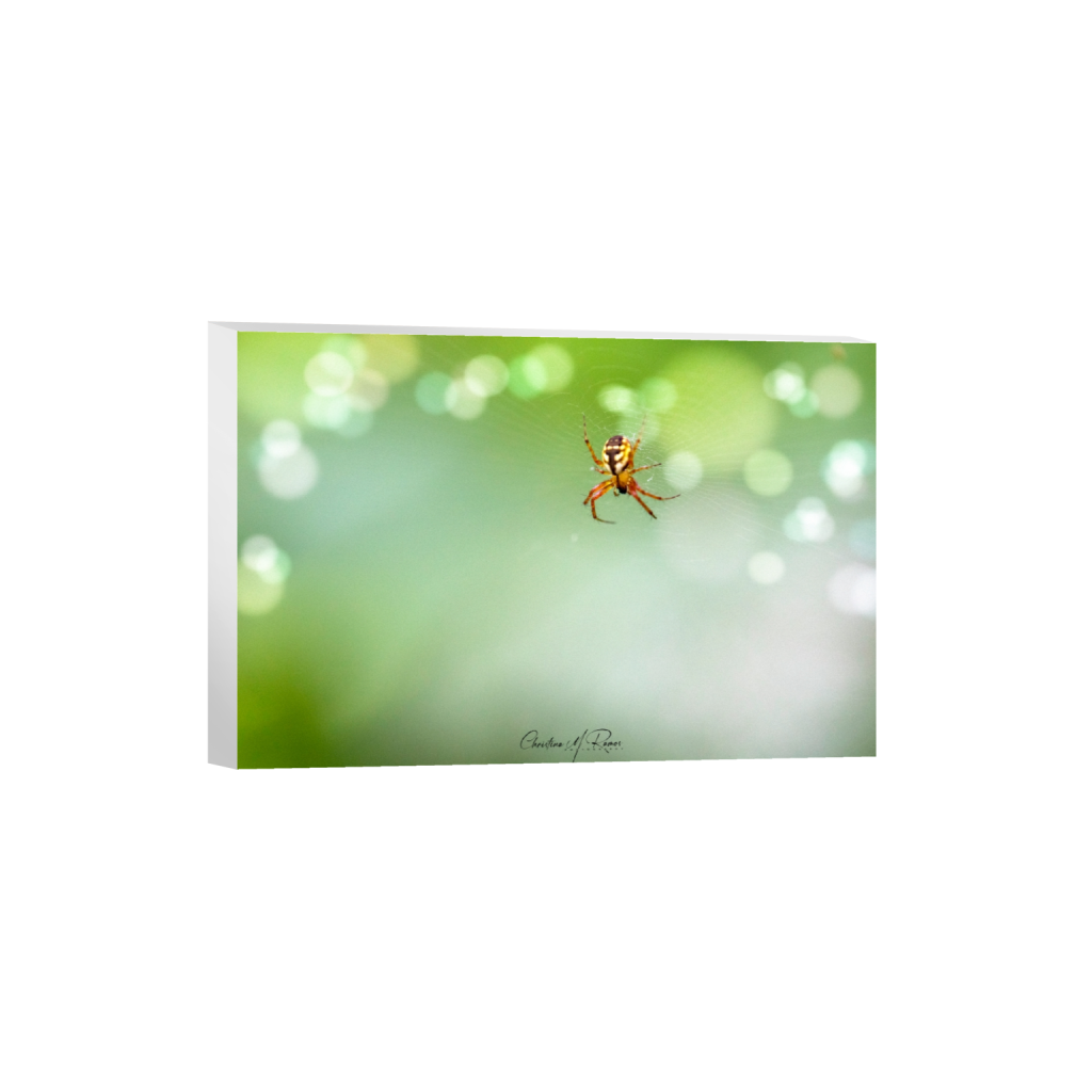 canvas_rectangle2_3_0_0_5236_3490_0_false_ffffff_0_0.png