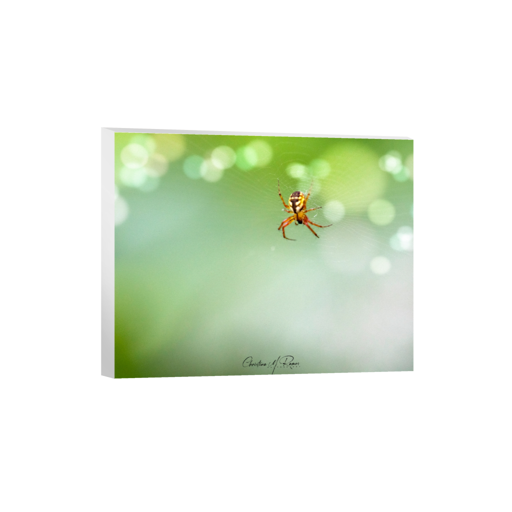 canvas_rectangle4_5_436_0_4363_3491_0_false_ffffff_0_0.png