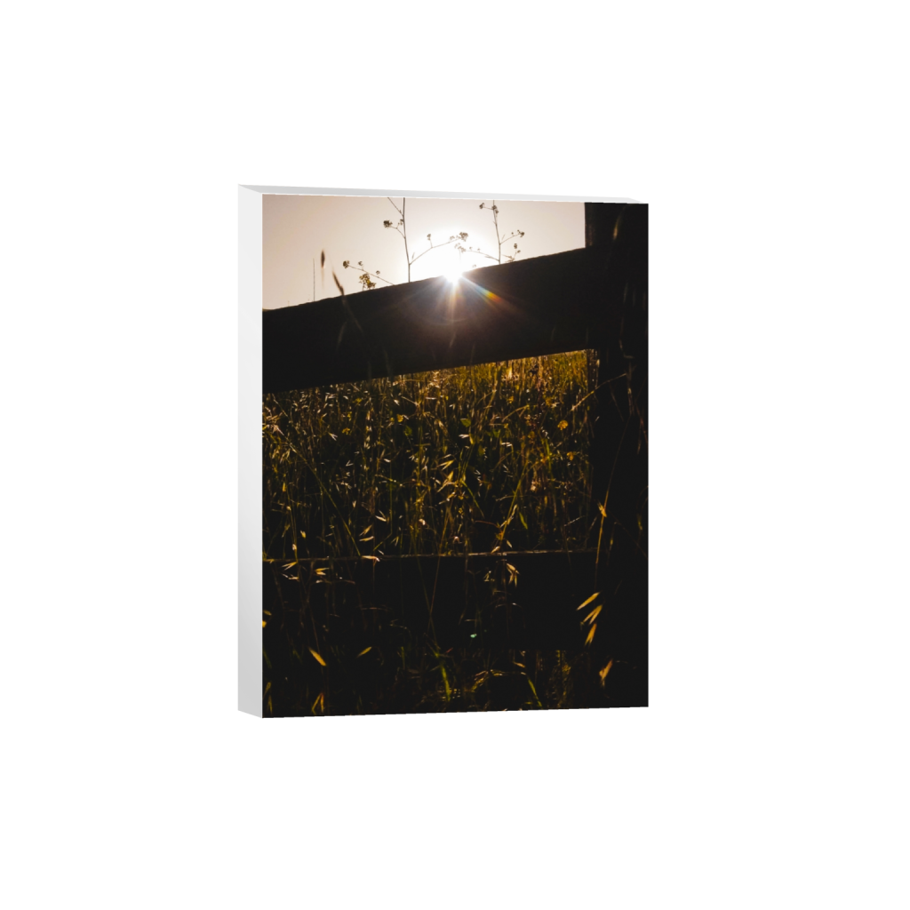 canvas_rectangle3_4_0_406_1829_2438_0_false_ffffff_0_0.png
