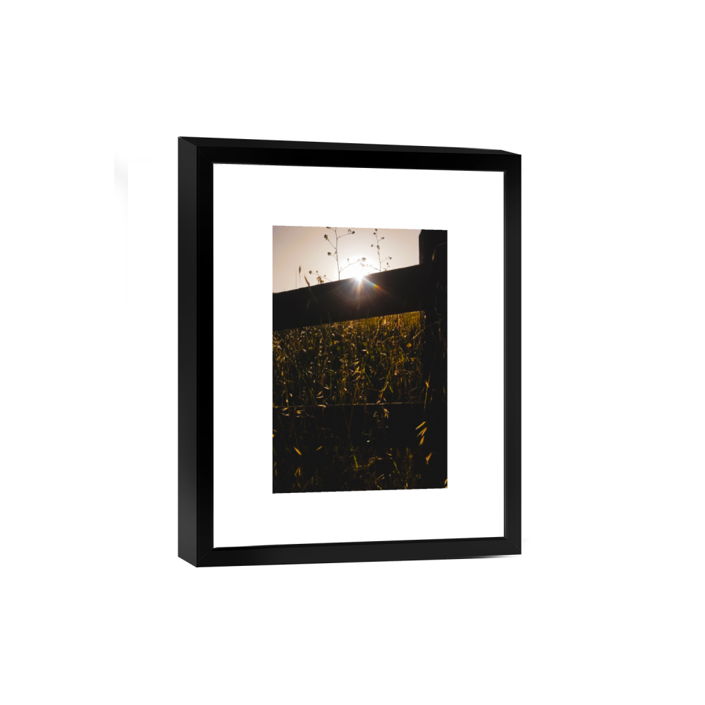 smartframe_rectangle2_3_0_254_1829_2743_0_false_ffffff_0_0.png
