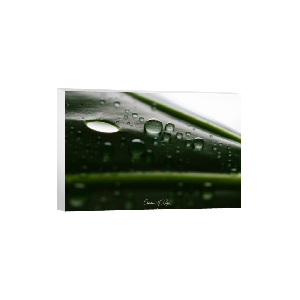 canvas_rectangle2_3_468_0_5062_3375_0_false_ffffff_0_0.png