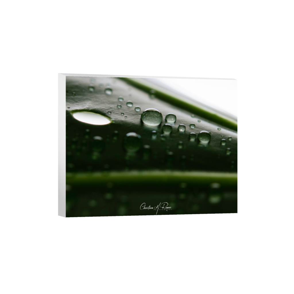 canvas_rectangle4_5_890_0_4218_3375_0_false_ffffff_0_0.png