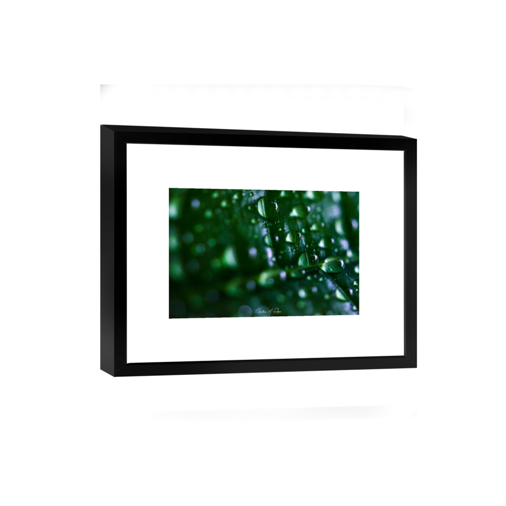 smartframe_rectangle2_3_0_0_6000_4000_0_false_ffffff_0_0.png