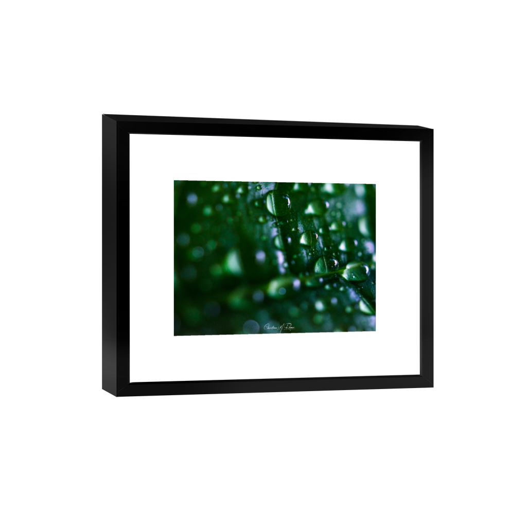 smartframe_rectangle3_4_333_0_5333_4000_0_false_ffffff_0_0.png