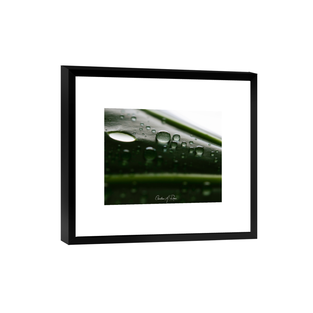 smartframe_rectangle4_5_890_0_4218_3375_0_false_ffffff_0_0.png