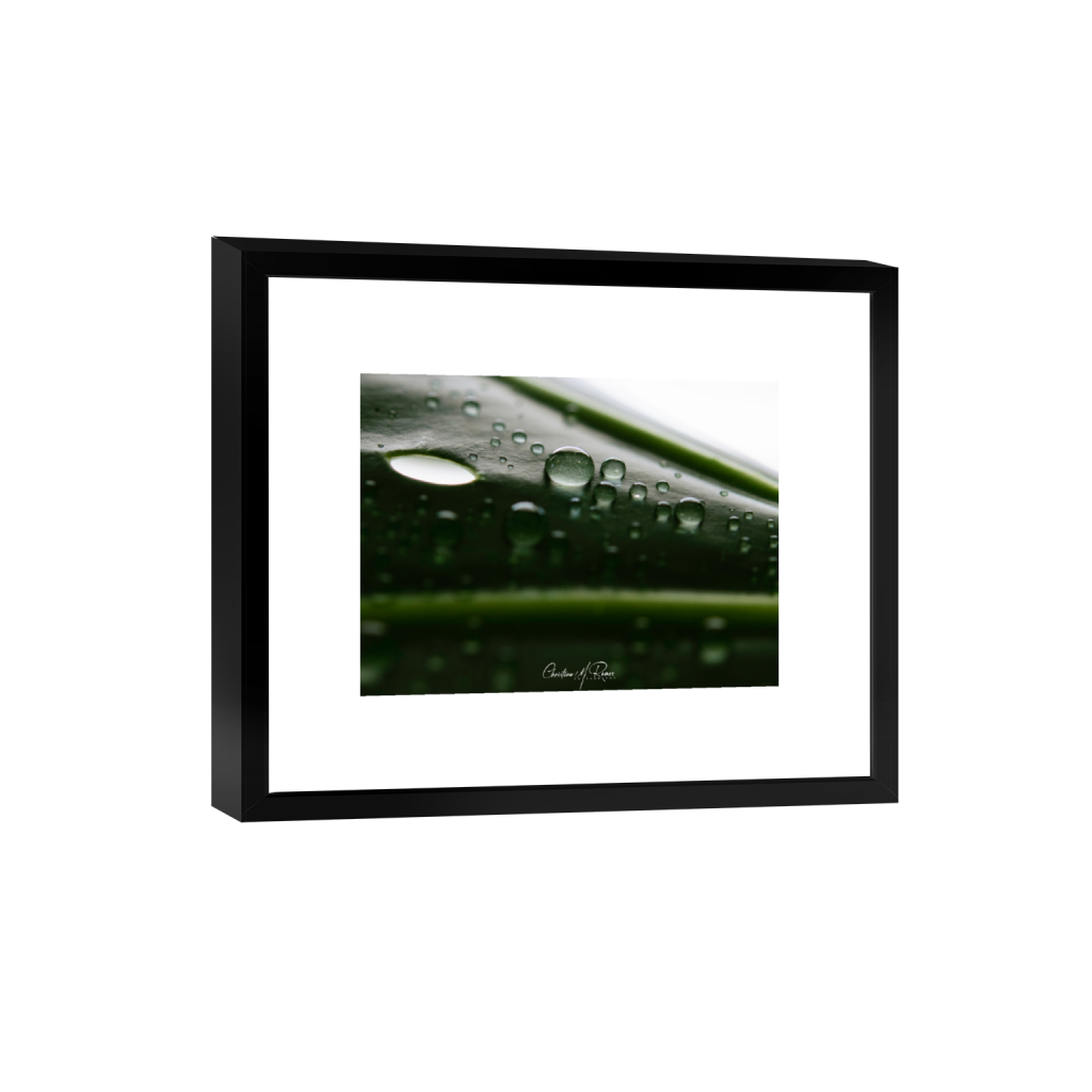 smartframe_rectangle3_4_750_0_4500_3375_0_false_ffffff_0_0.png