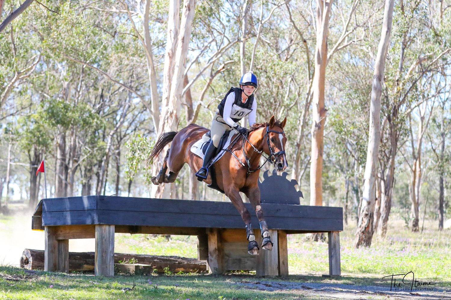 News — WARWICK HORSE TRIALS