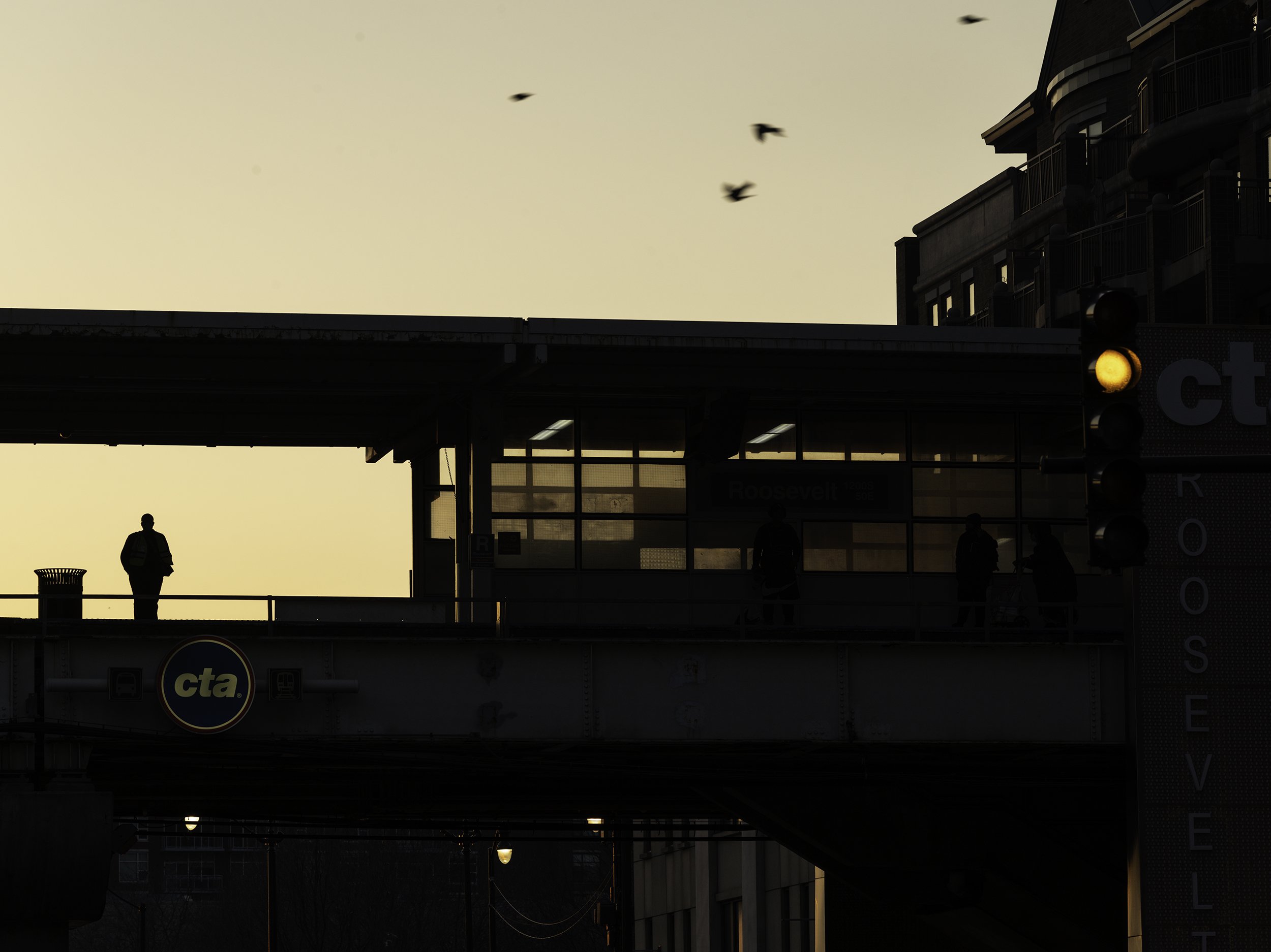 B0043884-Edit copy.jpg