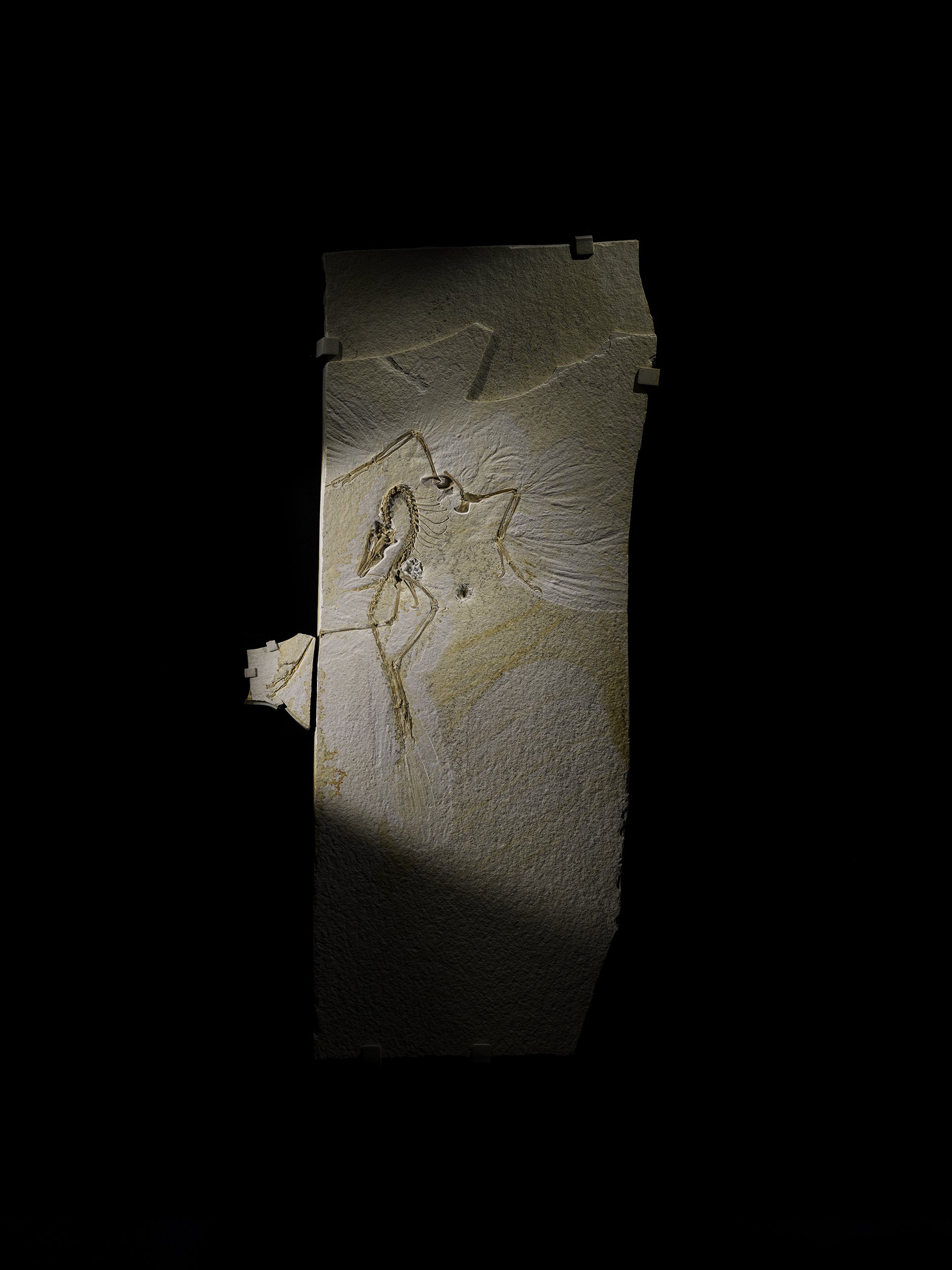 Clarissa-Bonet-Chicagoans of the Year-chicago-magazine01.jpg