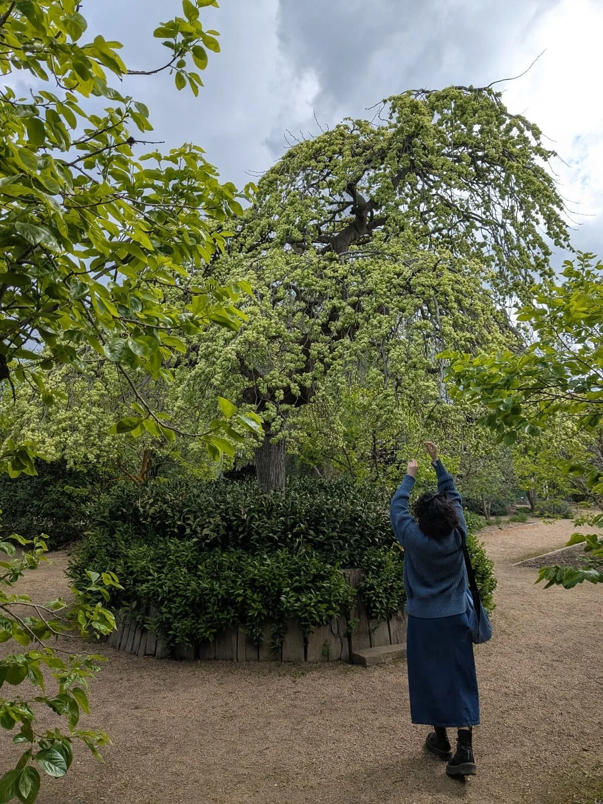 Some photos from life outside of work lately 🤍🪷 Make time for the things that bring you joy ~