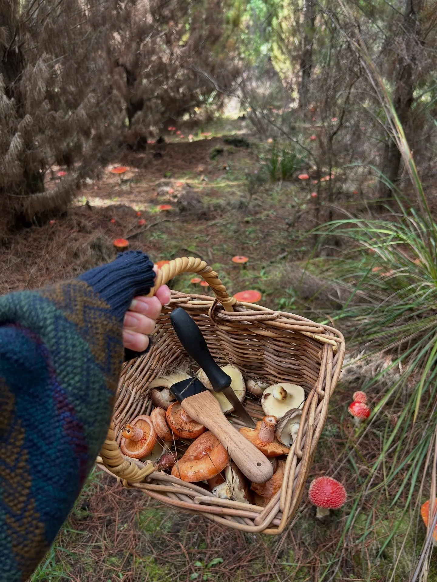 A fun weekend foraging for mushrooms, making gnocchi and enjoying autumn ~ 🍁

Using ingredients you&rsquo;ve grown yourself, foraged for, or made from scratch, is such a great experience to think about where our food comes from, the effort involved 