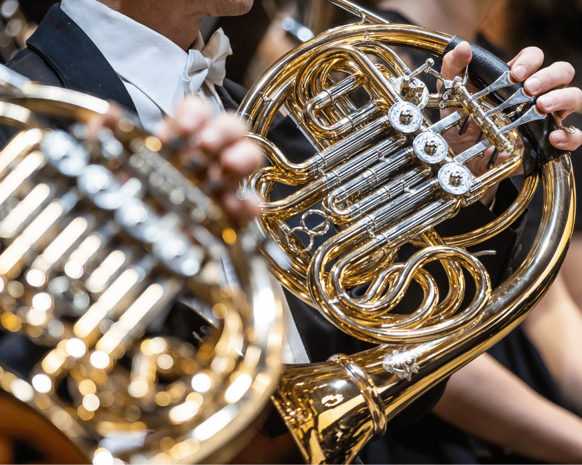 two French horns side by side