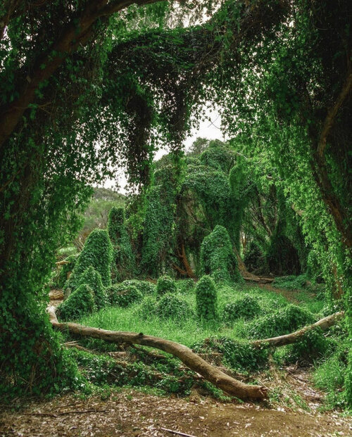 Gwelup+Secret+Garden.jpg