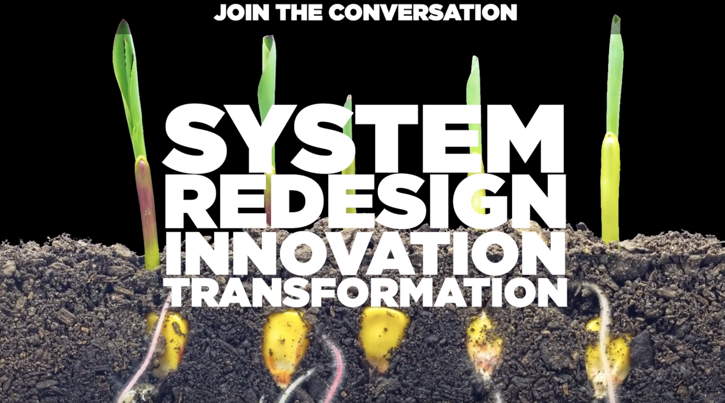 Screen Shot 2021-05-03 at 3.10.04 AM.png