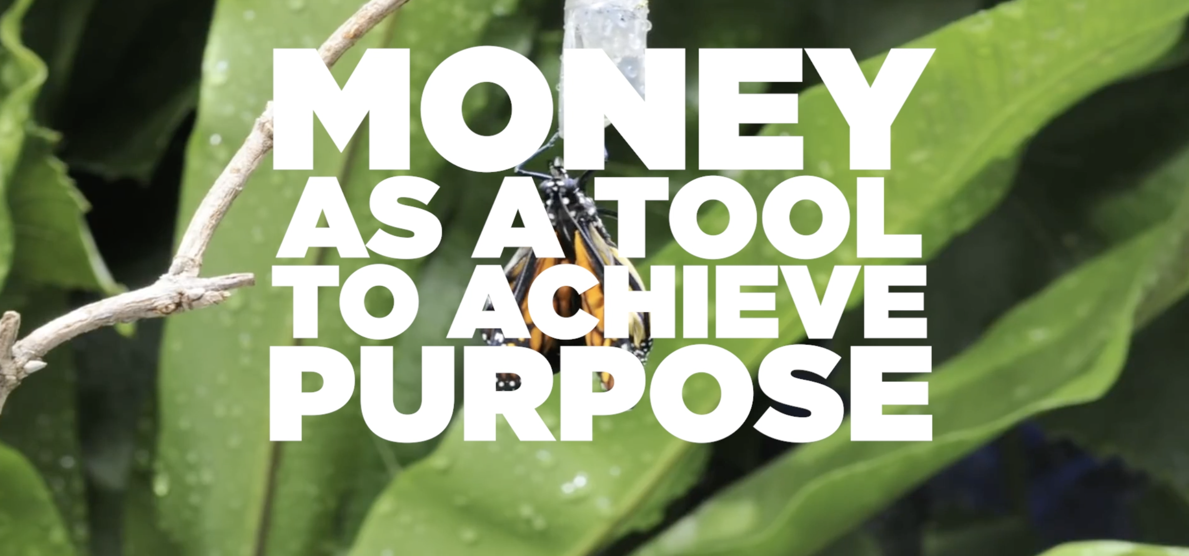 Screen Shot 2021-05-03 at 3.16.06 AM.png