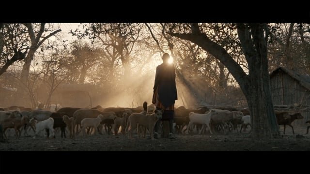 NATIONAL GEOGRAPHIC - EXPLORER (DR. AMY DICKMAN)