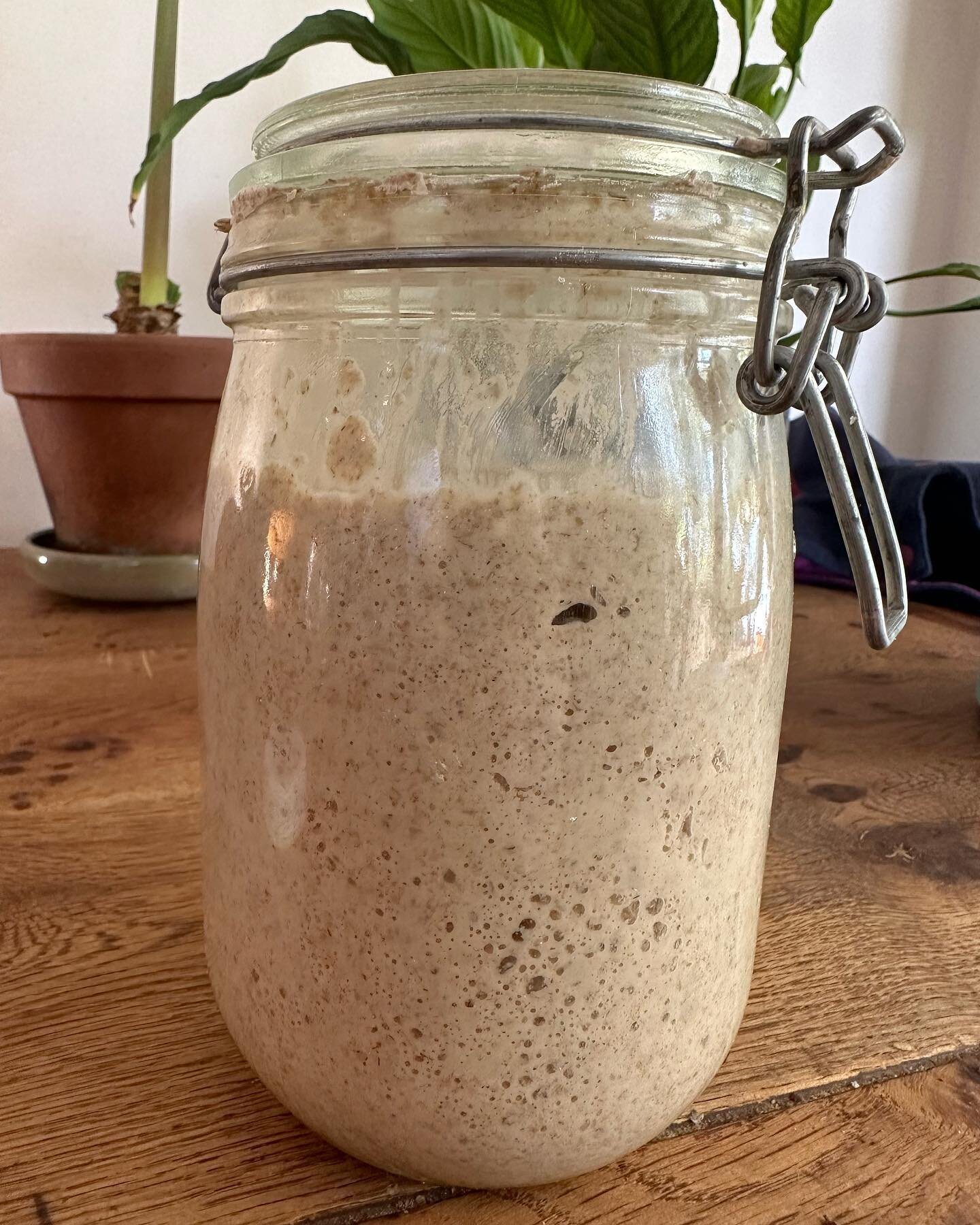 Warming up the starter for a bit of bread making this week. Shall be doing a limited bake of sourdoughs, focaccia, some cookies, crackers and maybe even a Bread and Butter pud or two. It will be collection only from Disraeli Road on Saturday morn cir