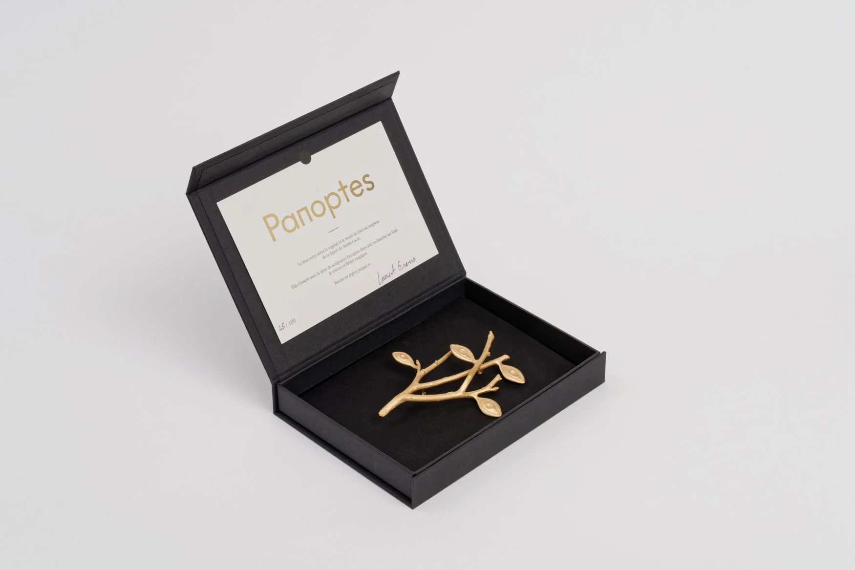 Panoptes Brooch